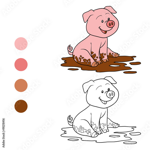 Coloring book (pig) photo
