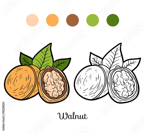 Coloring book for children: fruits and vegetables (walnut)