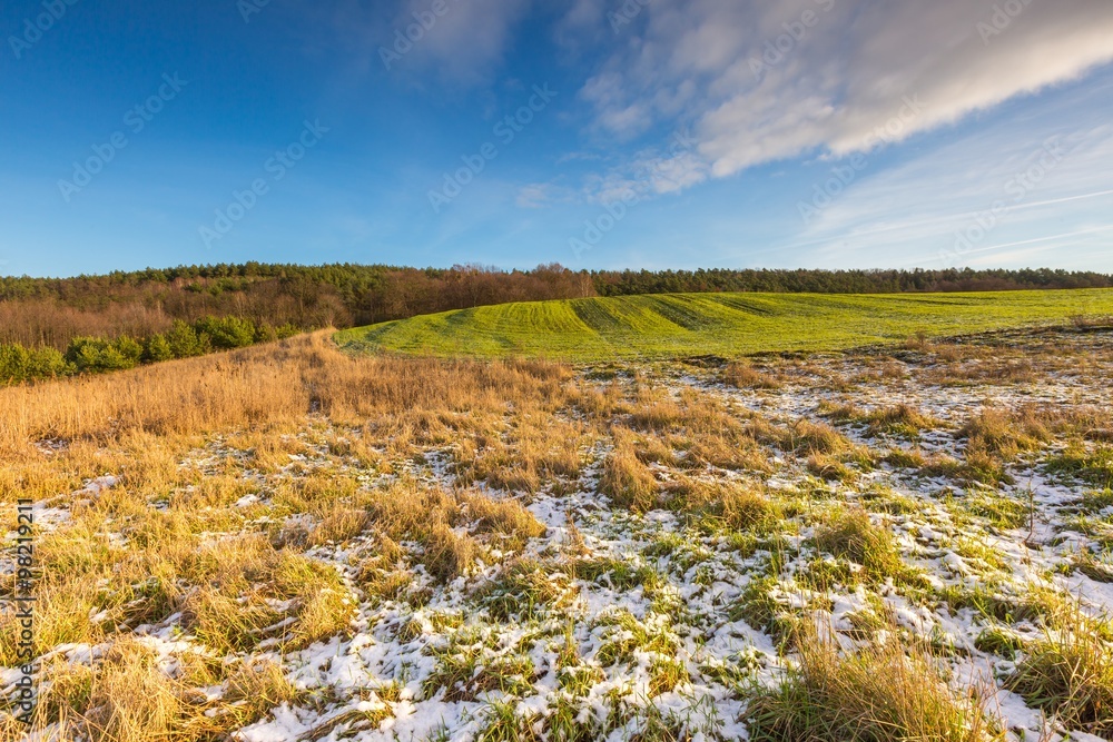 Early winter field landscape