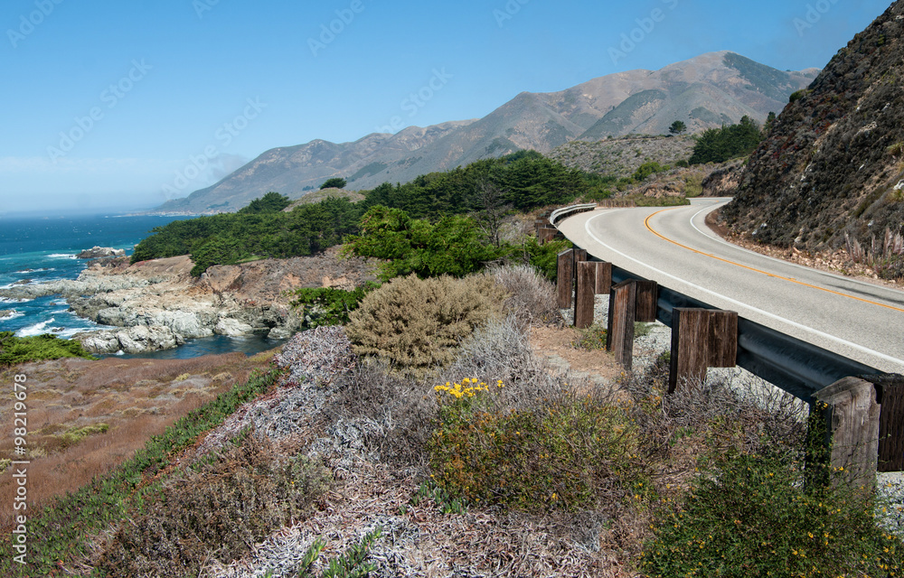 Pacific Coast Highway:  California Highway 1 curves along a mountainous shoreline amid a variety of plants that grow in the dry coastal climate south of Carmel.
