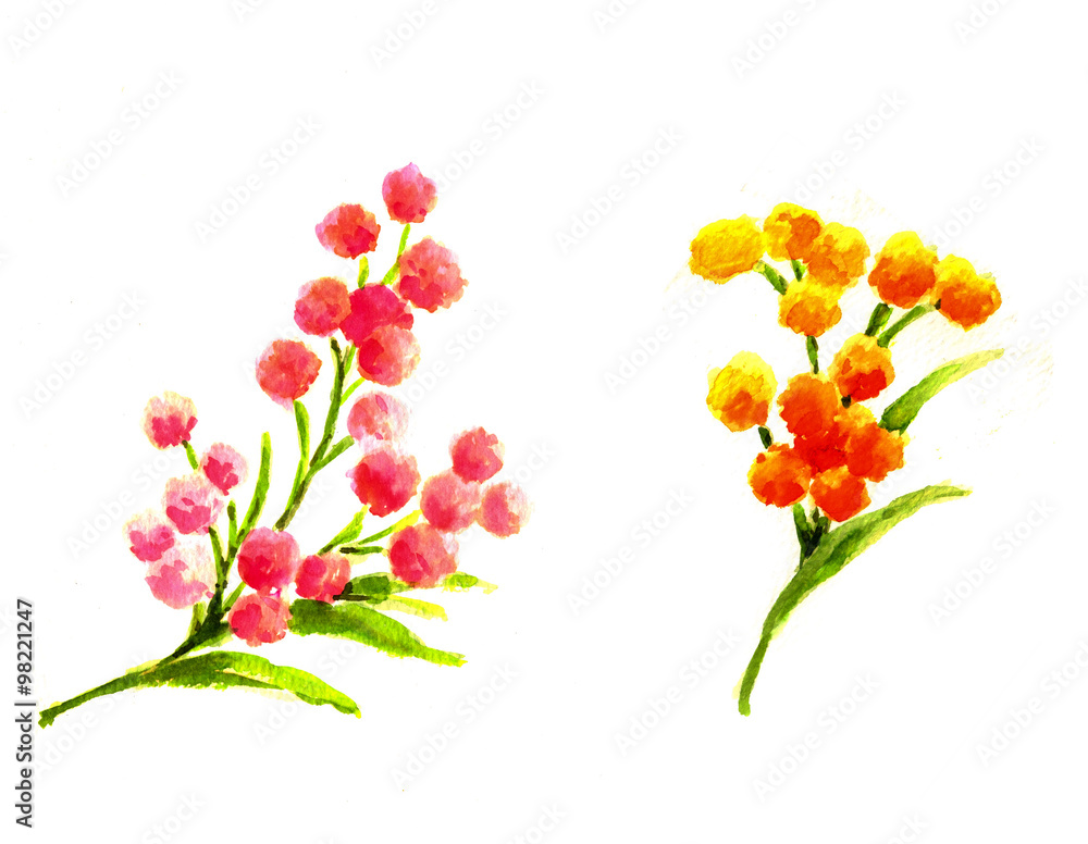 핑크와 오렌지 방울 꽃 두묶음