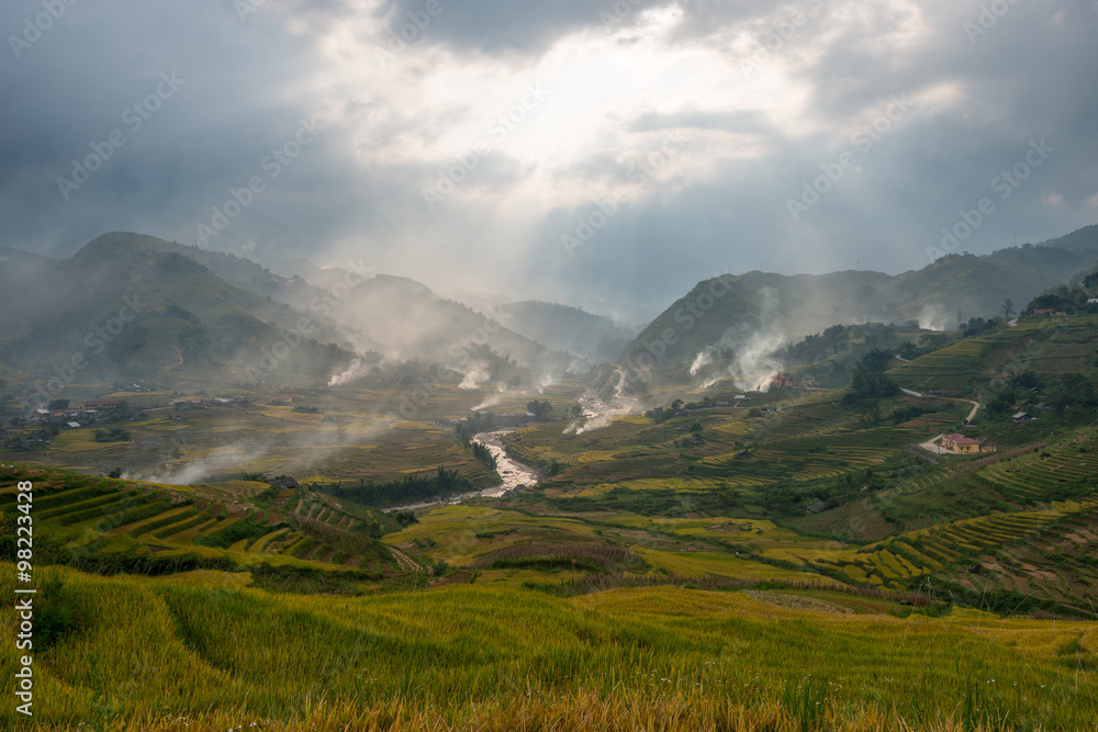 Obraz premium Terraced rice field in rice season in Sapa, Vietnam