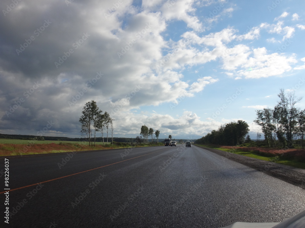 Fototapeta premium Дорога с разметкой в солнечный летний день под голубым небом с облаками