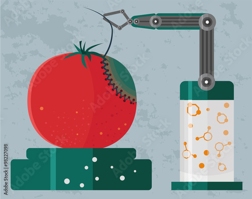 GMO concept of genetically modified tomato