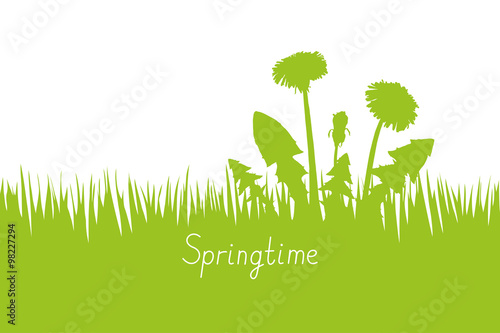 Green spring background with dandelion silhouette