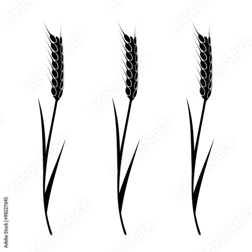 Wheat Element