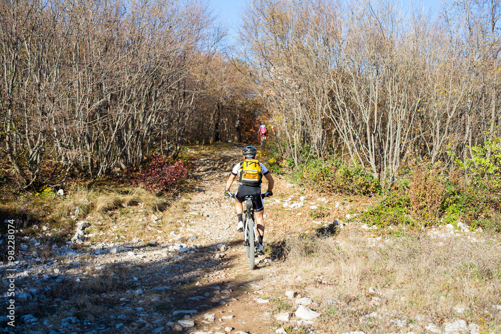 Obraz premium Mountain Bike cyclist