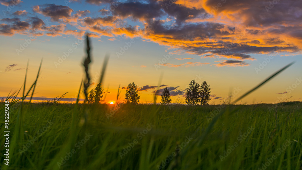 Закат солнца в полях Сибири, Россия