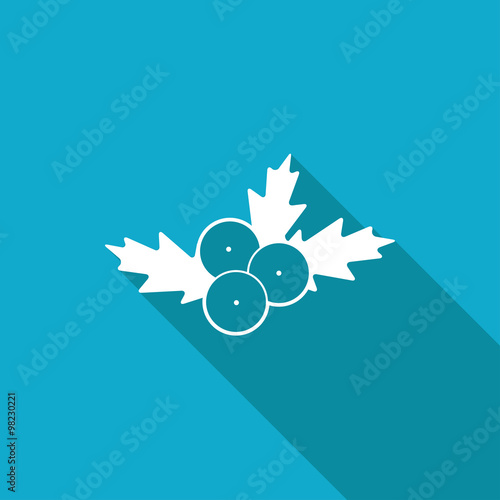 Vector christmas icon.