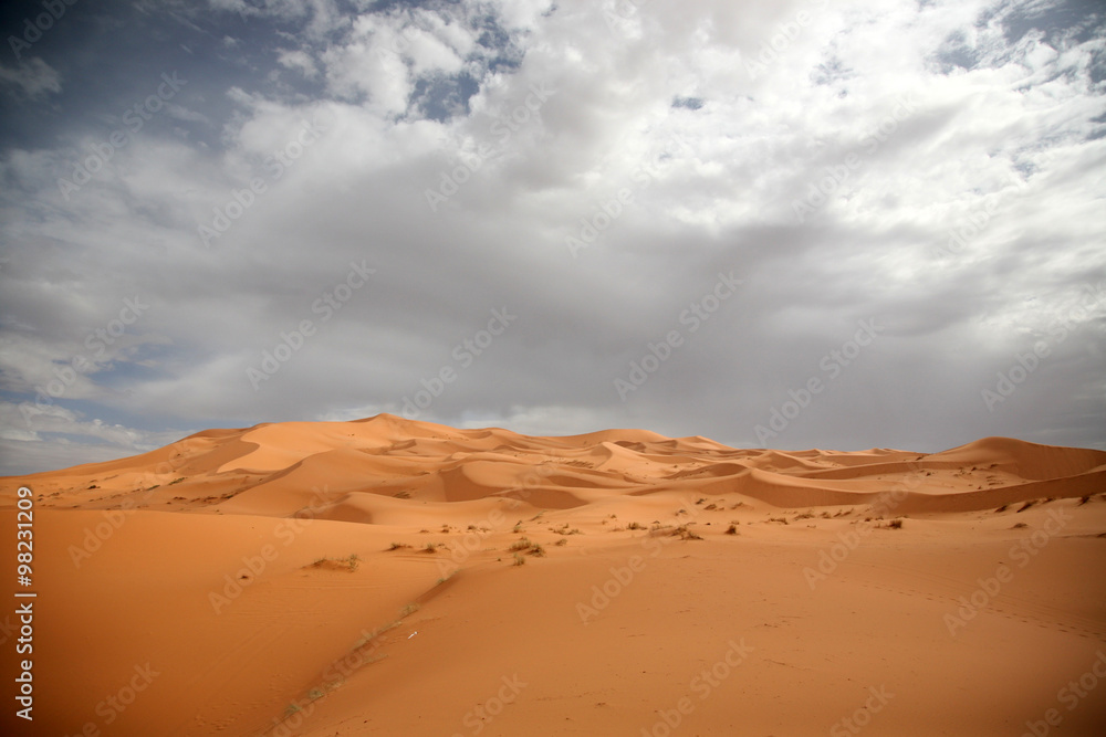 The Sahara7 The Sahara7