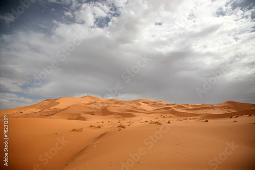 The Sahara7 © gohdafunk