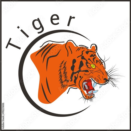 Тигр. Tiger.