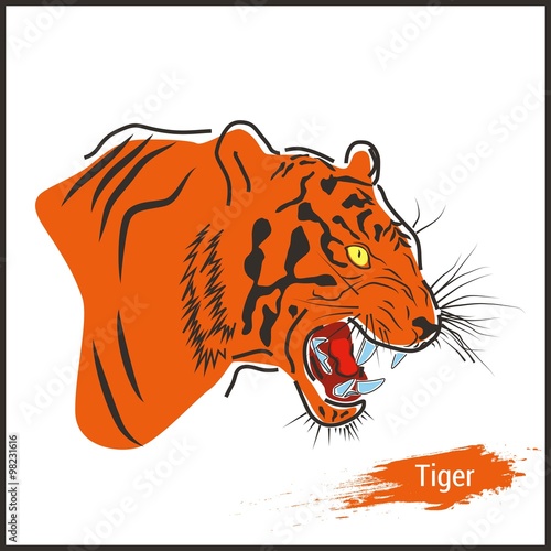 Тигр. Tiger.