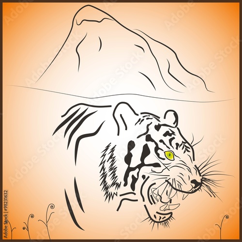 Тигр. Tiger.