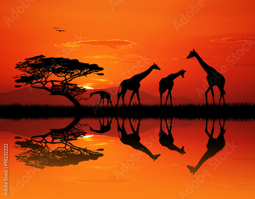 giraffe silhouette in African landscape © adrenalinapura
