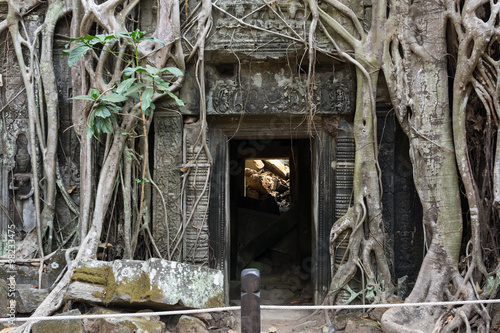 Ta Prohm temple photo