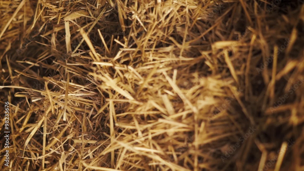 close up of straw inside of a barn - dolly shot close up of straw inside of a barn - dolly shot