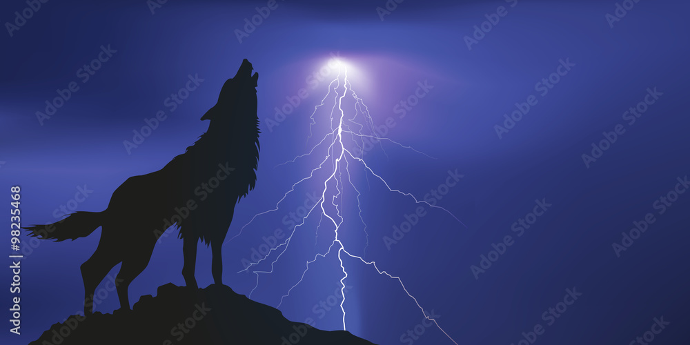 Naklejka premium Loup_Storm Lightning