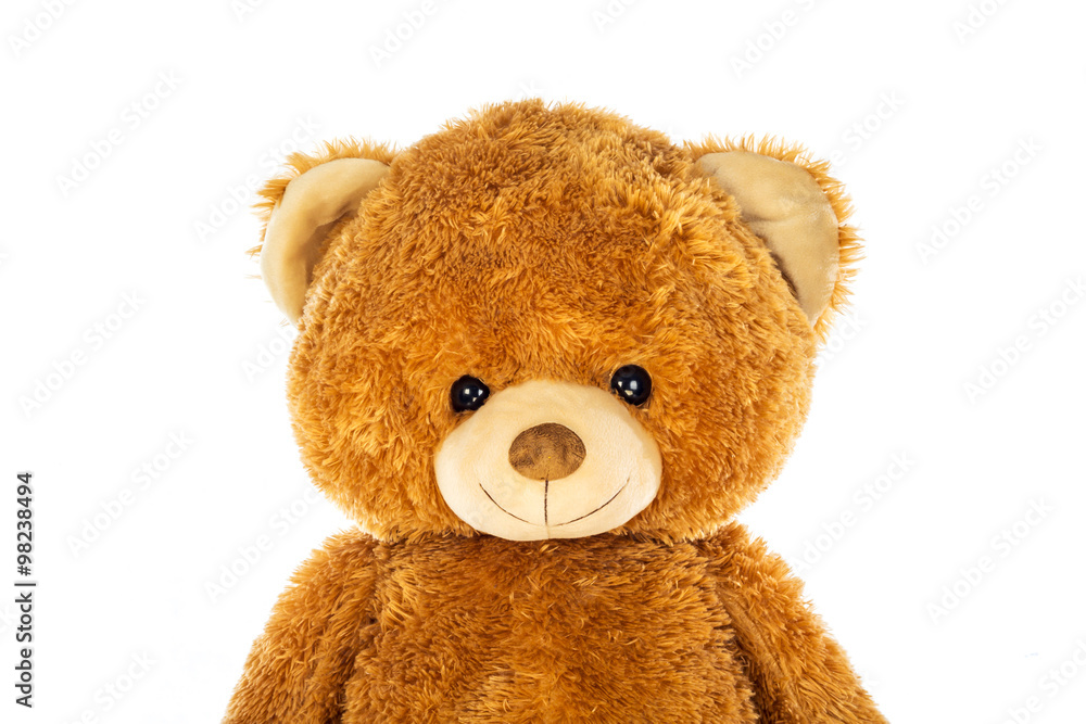 Teddy bear on a white background.