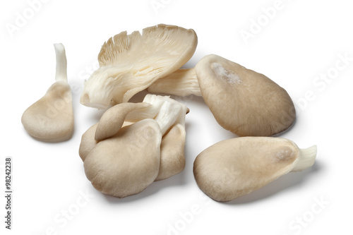Fresh oyster mushrooms