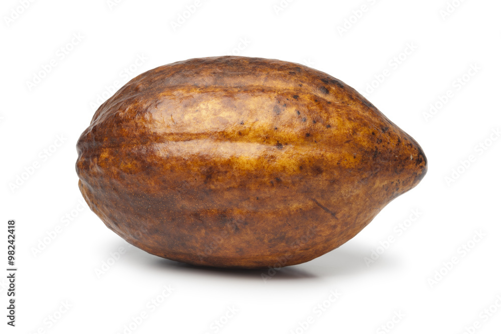 Single fresh cacao fruit Single fresh cacao fruit