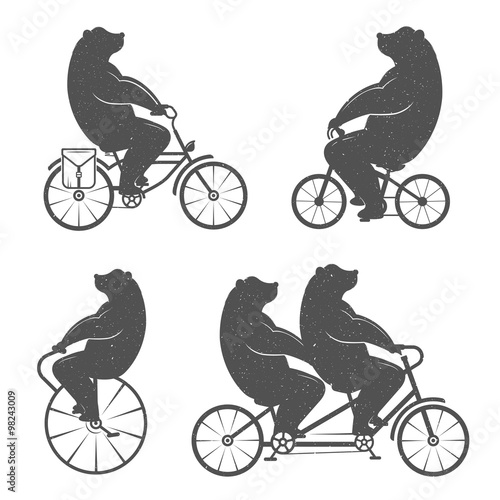 Vintage Illustration of Bear