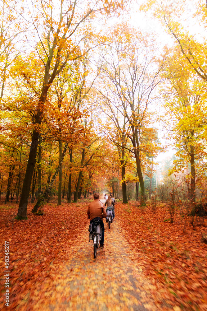 Fototapeta premium Cycling trough the woods in national park 'De hoge veluwe' in the Netherlands in autumn