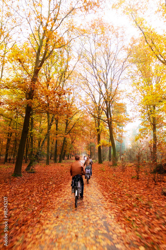 Cycling trough the woods in national park 'De hoge veluwe' in the Netherlands in autumn © dennisvdwater