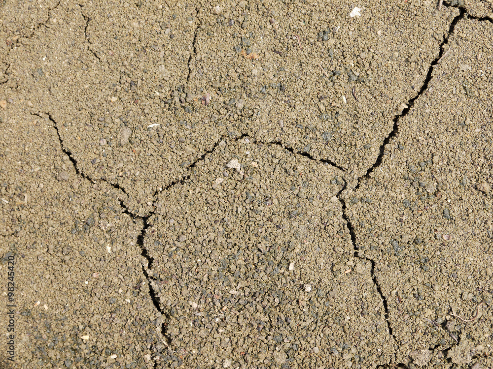 Fototapeta premium cracks in the ground
