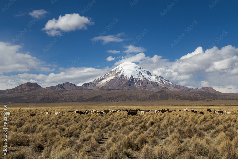 Sajama National Park