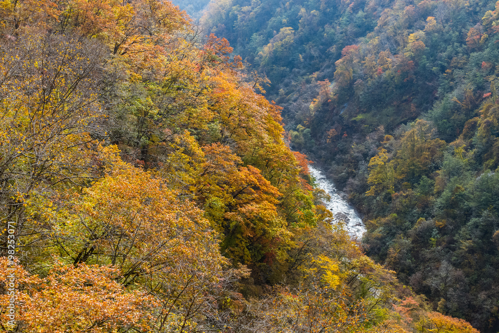 colorful leaves valley at Noboribetsu, Hokkaido