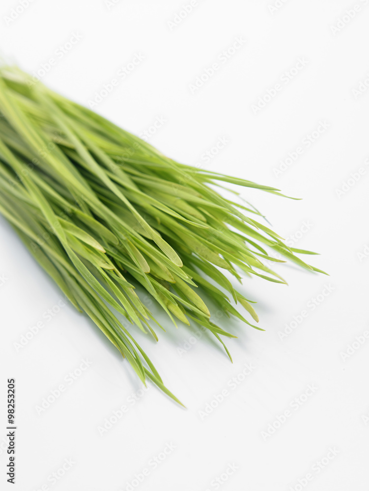 wheat grass wheat grass