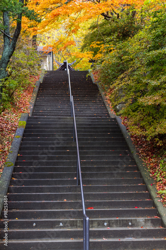 outdoor stairs in autumn