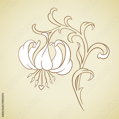 Vector lily flower.