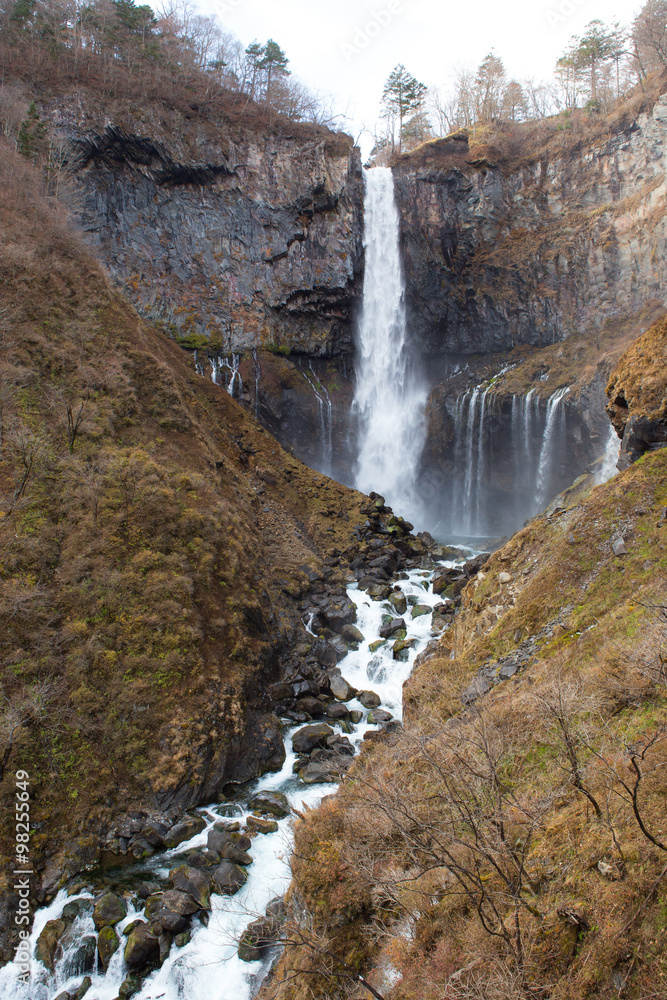 Fototapeta premium Japan waterfall with dry trees in autumn season