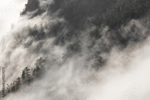 Nebelschwaden - Fog draws over a mountain slope through the forest © Blende-8