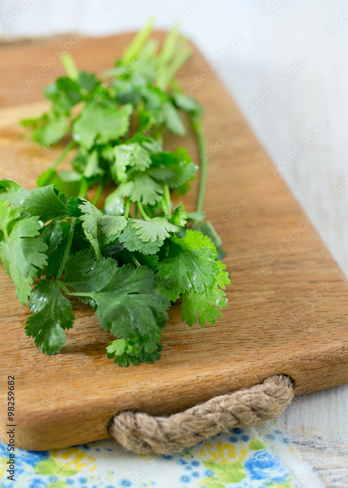 cilantro over wood