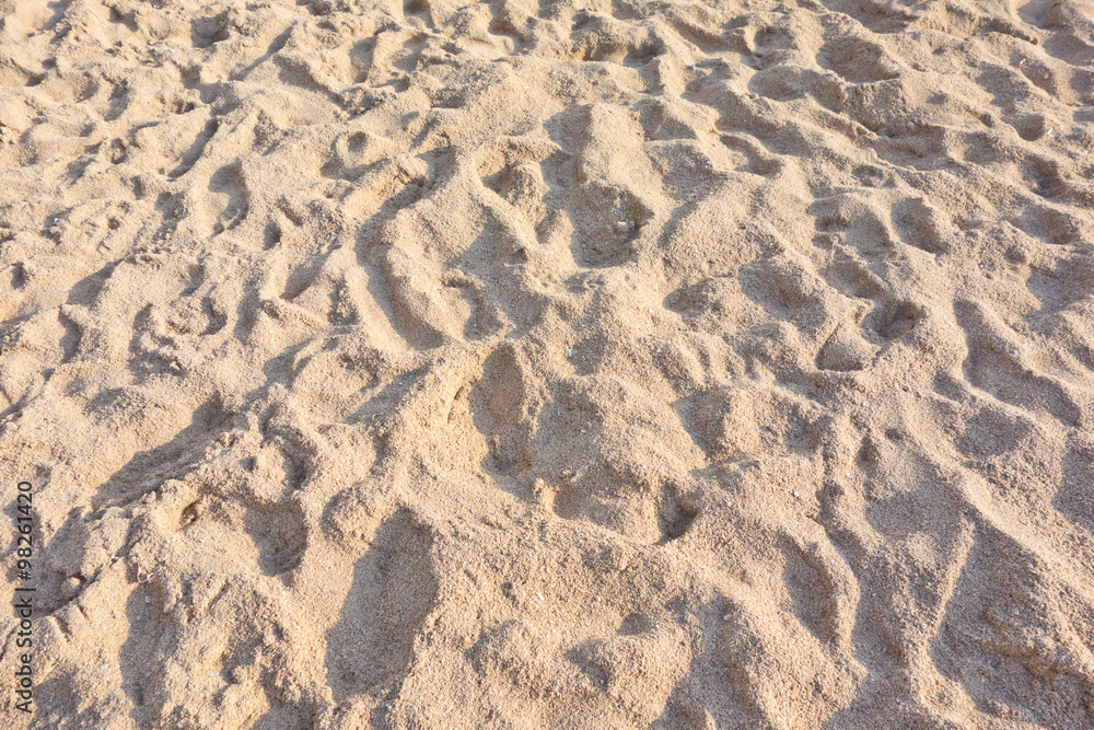 Fototapeta premium sand beach