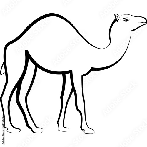 Dromedar Kontur Logo Drawing