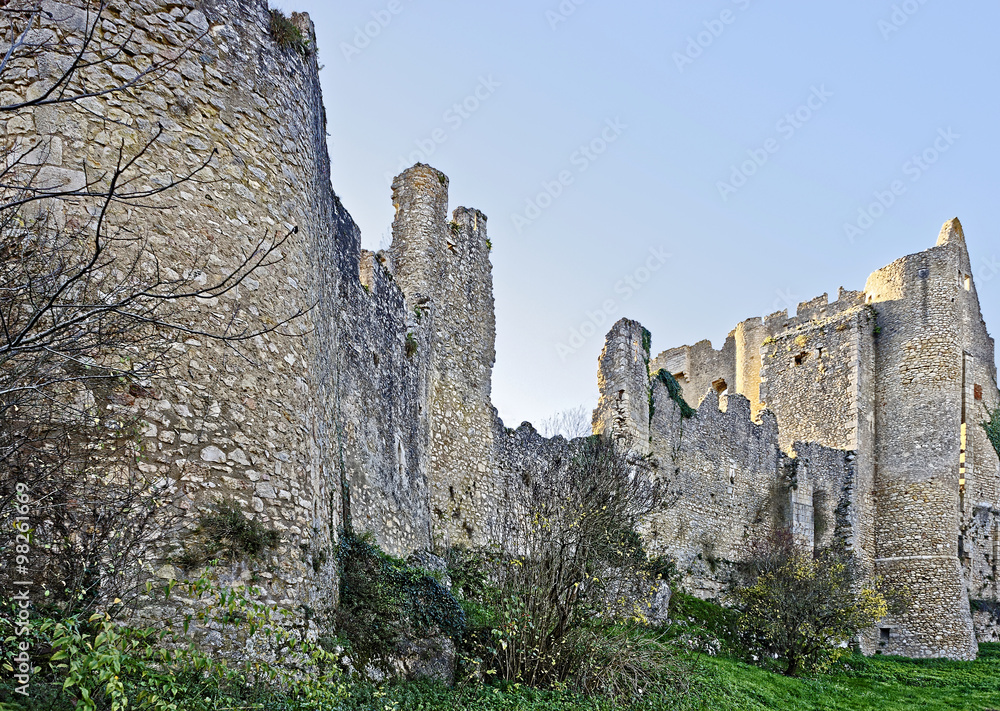 Château d'Angles-sur-Anglin