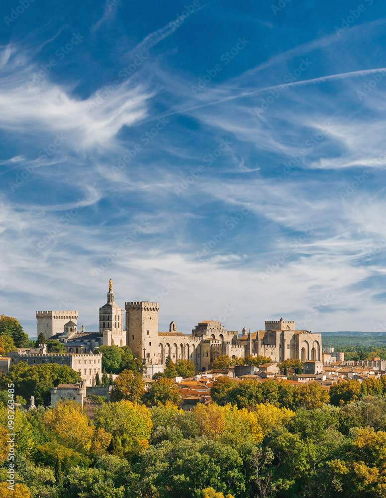 View of Papal palace in Avignon