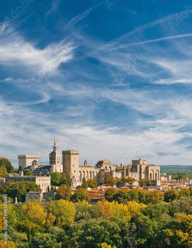 View of Papal palace in Avignon