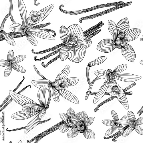 vanilla pattern