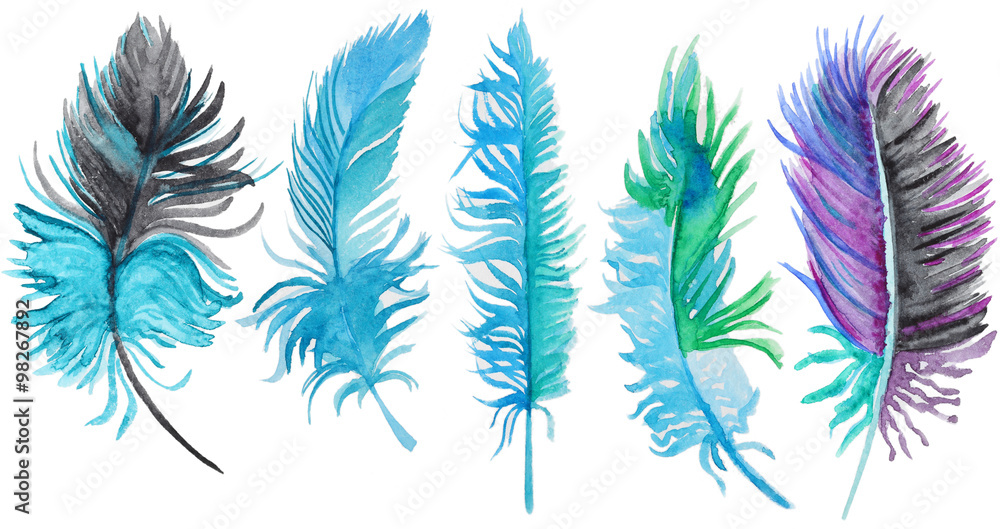 Watercolor feathers set Watercolor feathers set