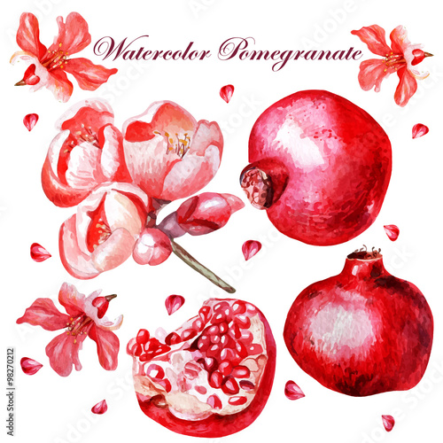 Beautiful watercolor set with fruits and flowers of pomegranate