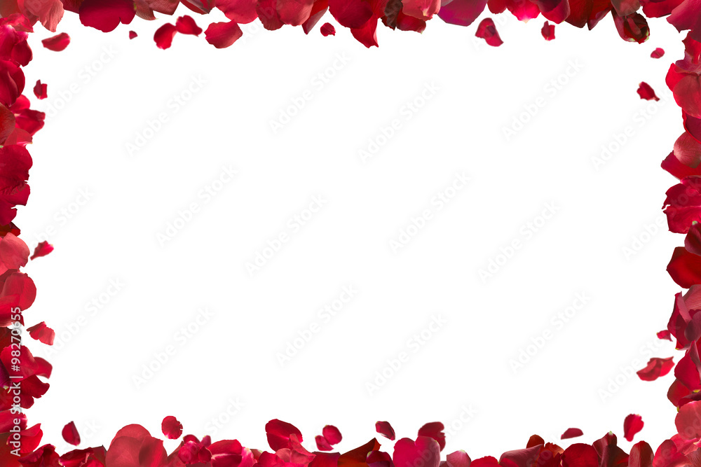 Naklejka premium ramka czerwone płatki róż, odizolowane na absolutne białe, zawiera ścieżkę przycinającą