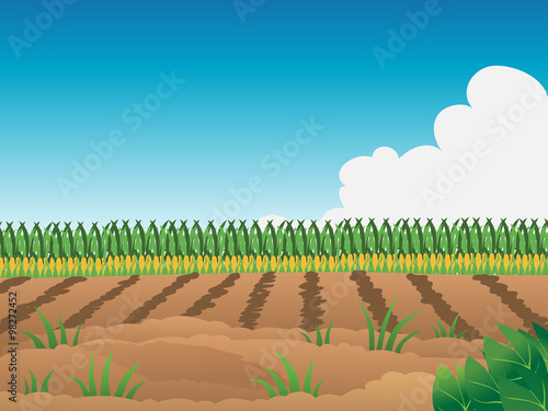 cartoon vector illustration of a crop field