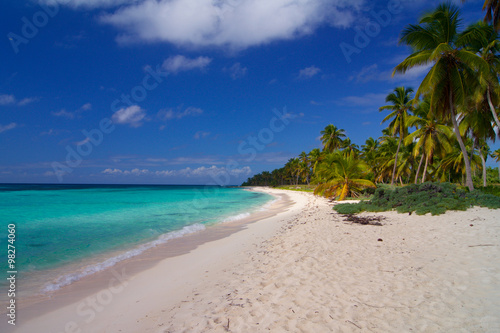 Caribbean beach © jankost