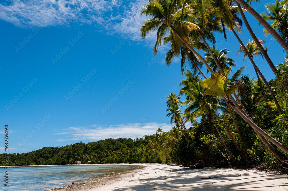 Palm trees at a Tropical Raja Ampat Beach with blue sky and ocean Palm trees at a Tropical Raja Ampat Beach with blue sky and ocean