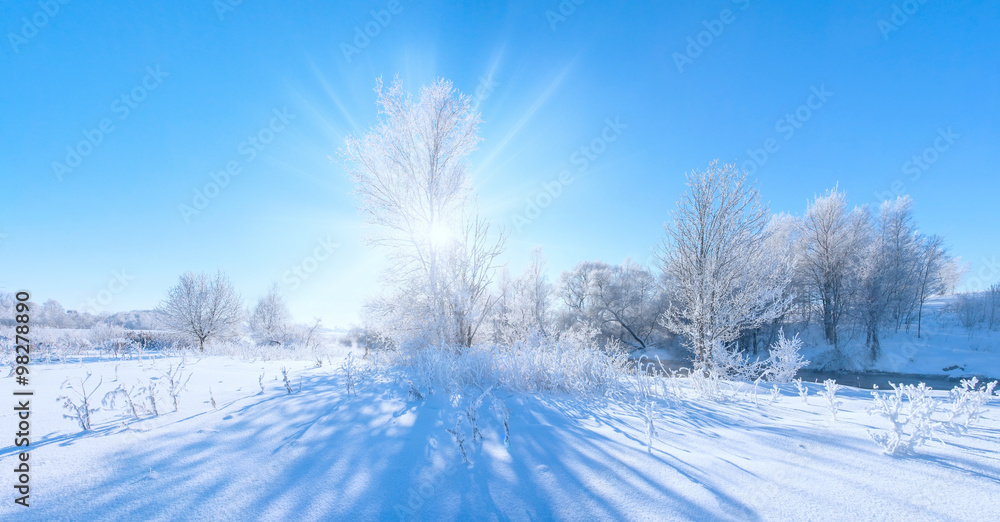 Frosty winter tree illuminated by the rising sun